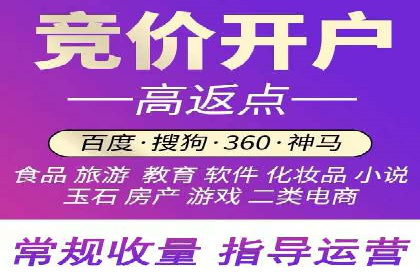 网络推广竞价实战案例分析集